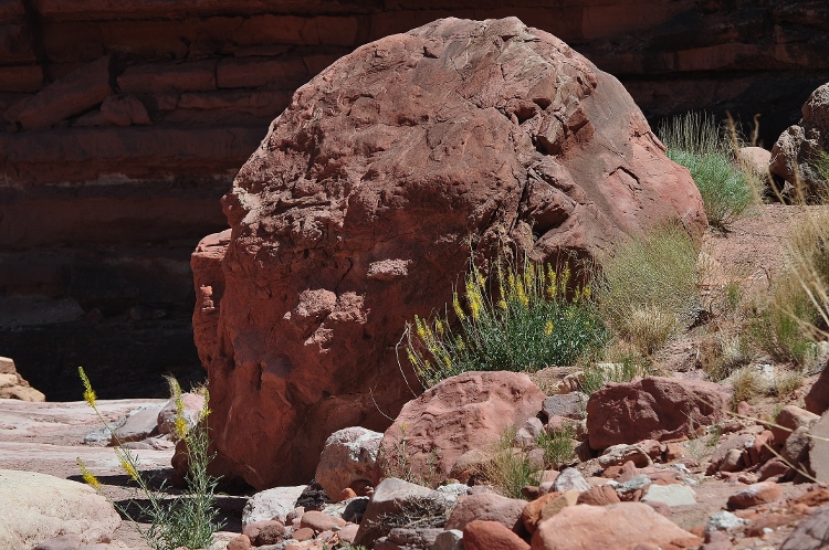 Lower Cathedral Wash